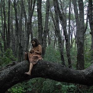 Foto Violeta se fue a los cielos