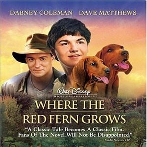 Foto Where the Red Fern Grows