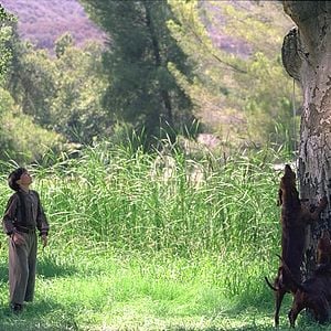 Foto Where the Red Fern Grows