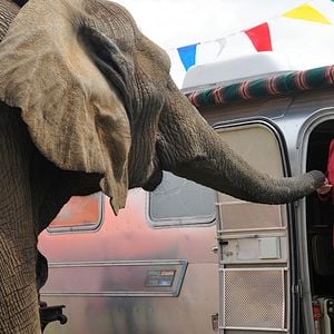 Foto Sophie and Sheba