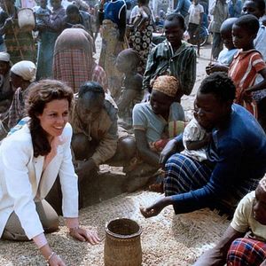 Foto Gorilas en la niebla