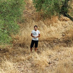 Foto Sleepless Knights