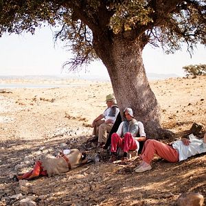 Foto Sleepless Knights