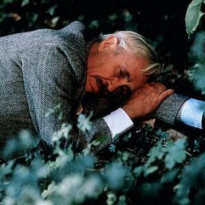 Foto El reencuentro del amigo