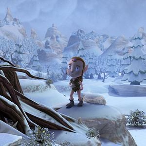 Foto El corazón del roble