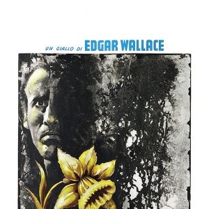 Foto Das Geheimnis der gelben Narzissen