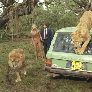 Foto Sheena, reina de la selva