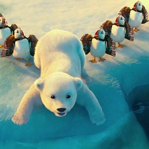 Foto The Polar Bears