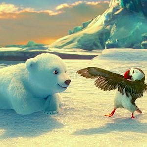 Foto The Polar Bears