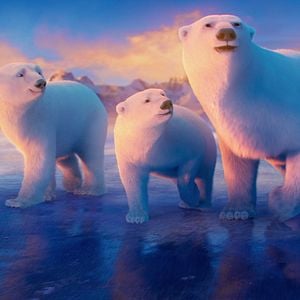 Foto The Polar Bears