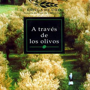 Foto A través de los olivos