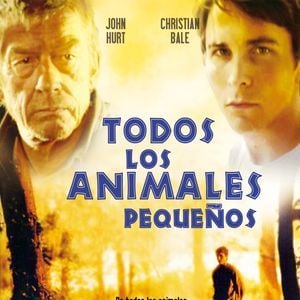 Foto Todos los animales pequeños