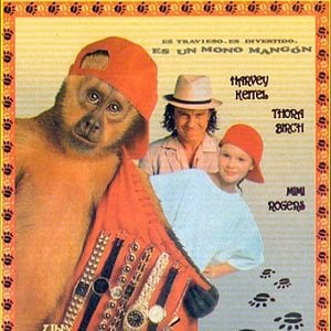 Foto Un ladrón de cuatro manos