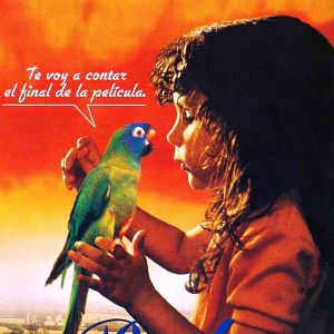 Foto Paulie, el loro bocazas