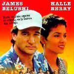 Foto La carrera del sol