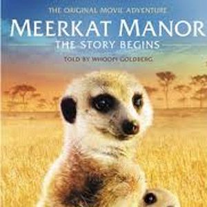 Foto Meerkat Manor: The Story Begins