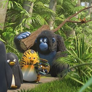 Foto La panda de la selva: vuelta al hielo