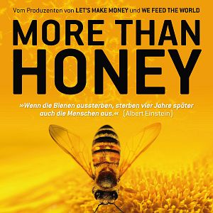 Foto Mucho más que miel