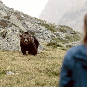 Foto Clara und das Geheimnis der Bären