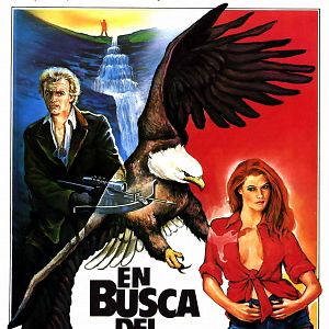 Foto En busca del águila