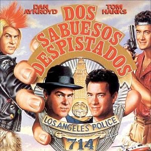 Foto Dos sabuesos despistados