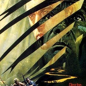 Foto La selva esmeralda