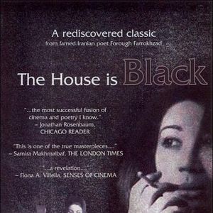 Foto The house is black