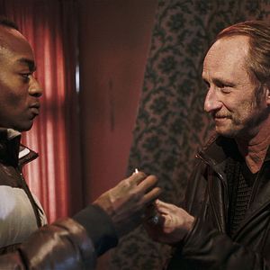 Foto Les Rayures du zèbre