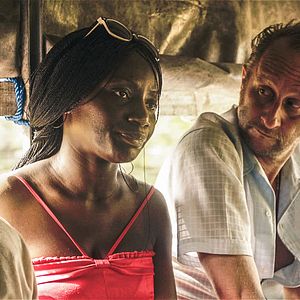 Foto Les Rayures du zèbre