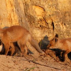Foto Una amistad inolvidable