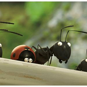 Foto Minúsculos: El valle de las hormigas perdidas