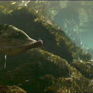 Foto Minúsculos: El valle de las hormigas perdidas