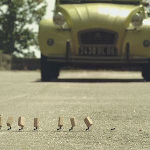 Foto Minúsculos: El valle de las hormigas perdidas