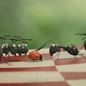 Foto Minúsculos: El valle de las hormigas perdidas