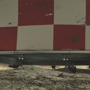 Foto Minúsculos: El valle de las hormigas perdidas