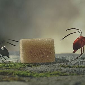 Foto Minúsculos: El valle de las hormigas perdidas