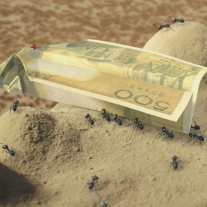 Foto Minúsculos: El valle de las hormigas perdidas