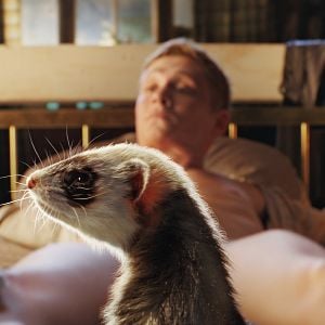 Foto Matthias Schweighöfer