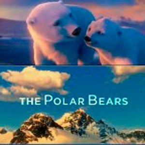 Foto The Polar Bears