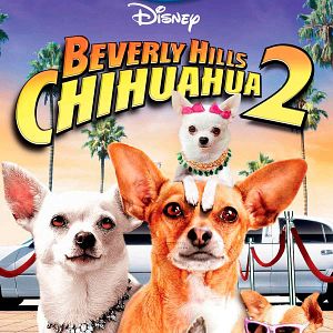 Foto Un chihuahua en Beverly Hills 2