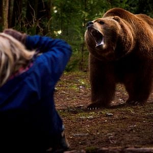 Foto Territorio Grizzly