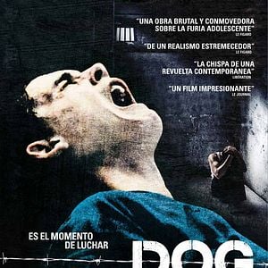 Foto Dog Pound (La perrera)