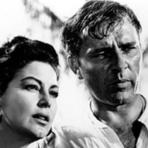 Foto La noche de la iguana