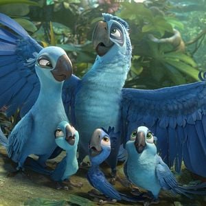 Foto Rio 2