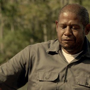 Foto Forest Whitaker