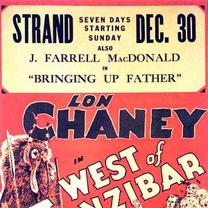 Foto Los pantanos de Zanzíbar