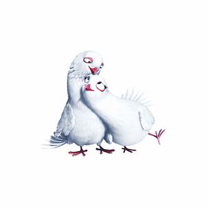 Foto La casa mágica