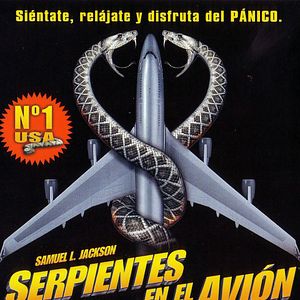 Foto Serpientes en el avión