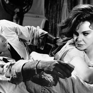 Foto Dulce pájaro de juventud