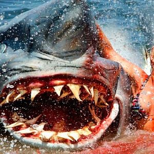 Foto El ataque del tiburón de dos cabezas